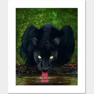 Black Panther Drinking Water Posters and Art